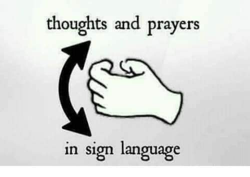 1549403103104.jpeg