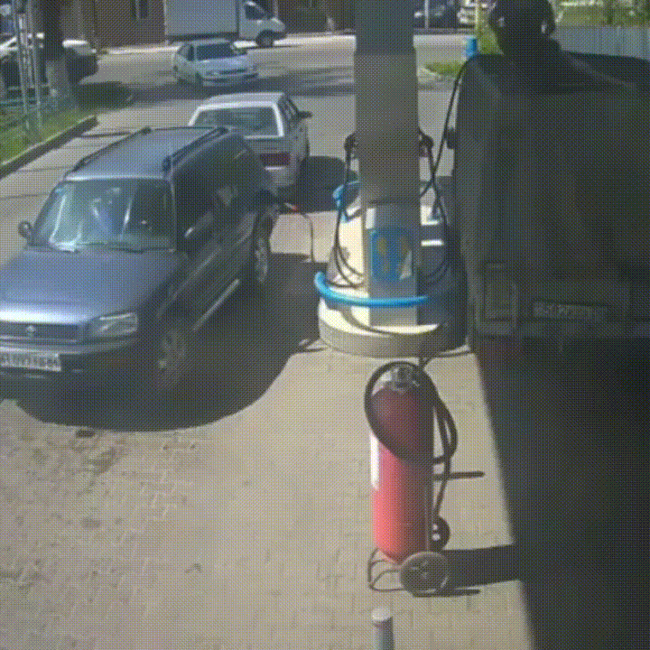 1549478055056.gif