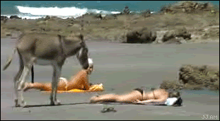 1549511604428.png