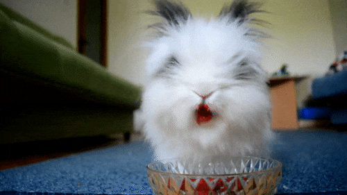 1549515066159.gif