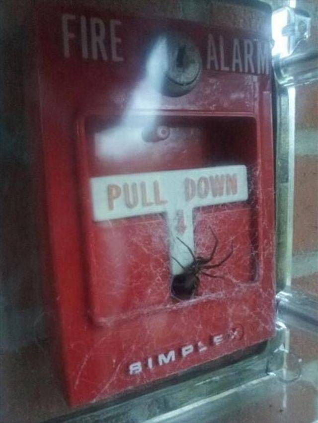 1549581654692.jpeg
