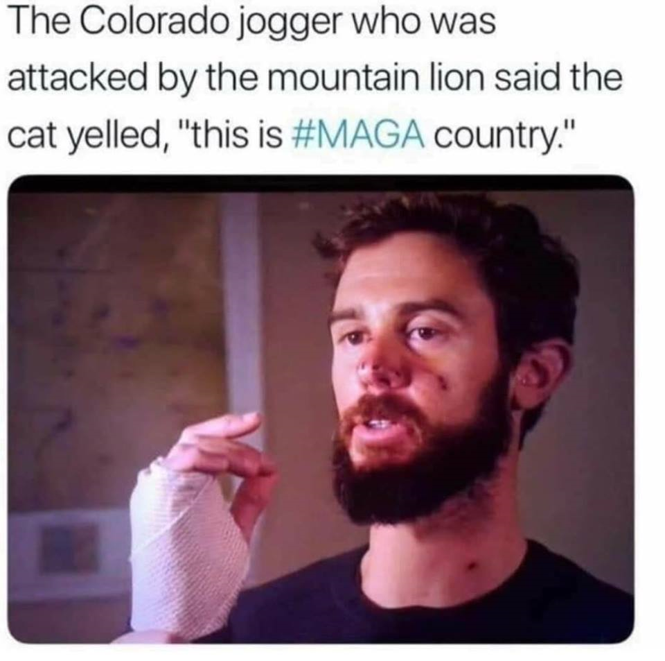 1550546984056.png