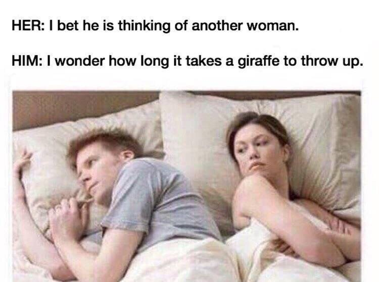 1550736753948.png