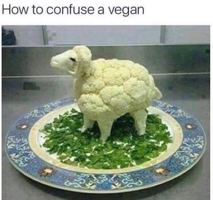 7048142