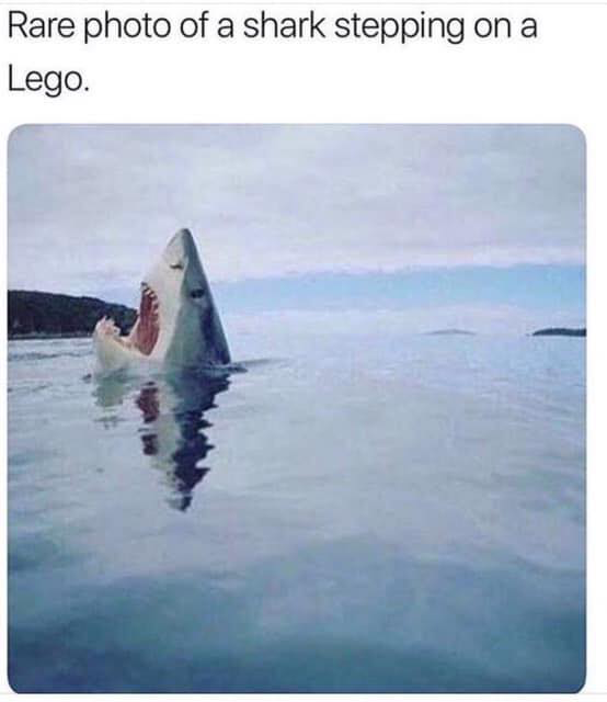 7051864