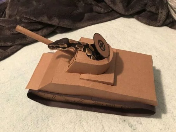 7052729