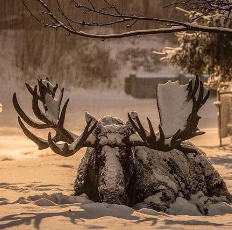 7053875
