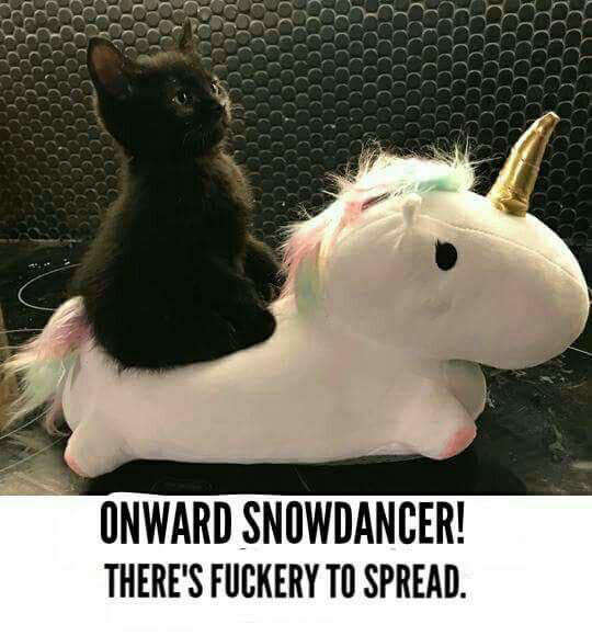 7054354