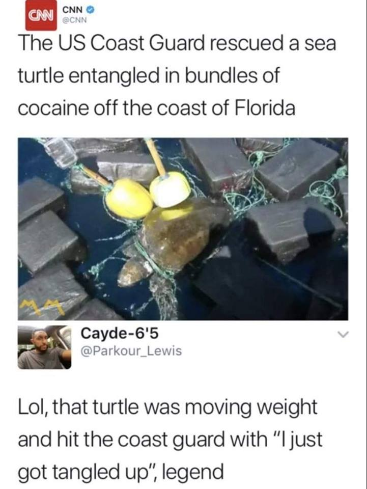 7060937