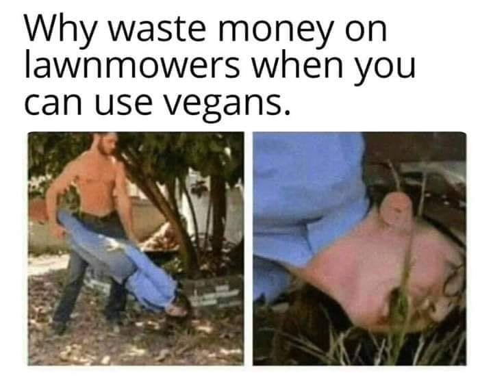 7065650