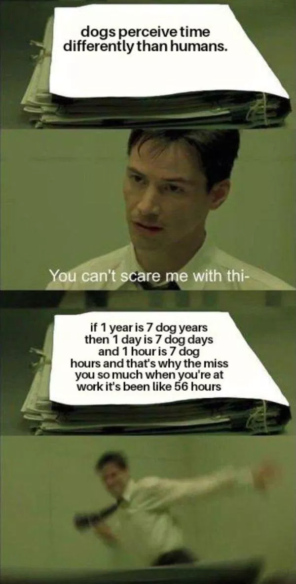 7069292