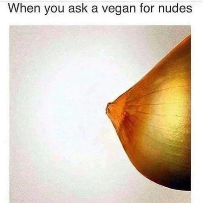 7082037