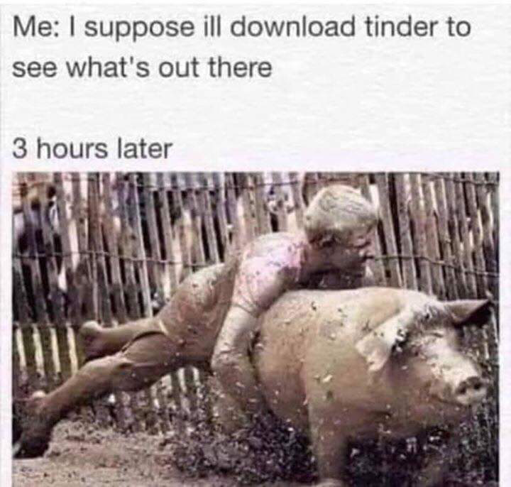 7094297