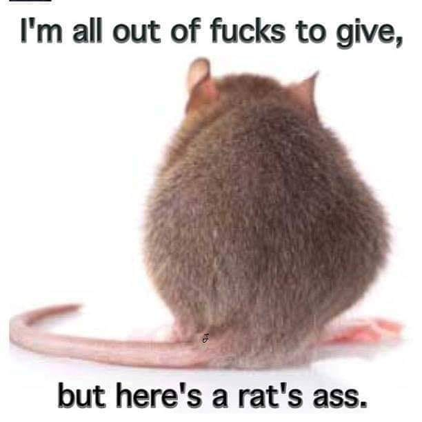 7101371