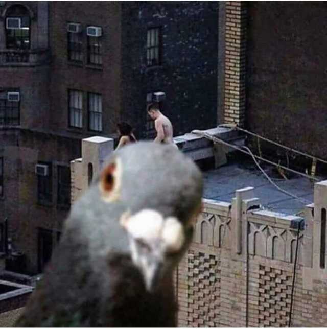 7111070