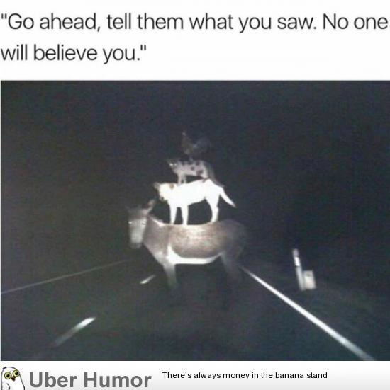 7117993