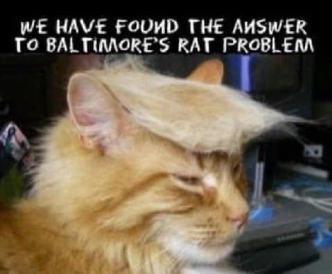 1564688615912.png