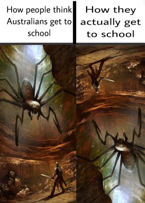 1564883163384.jpeg