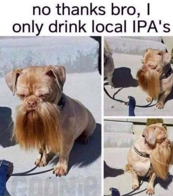 1565012146996.jpeg