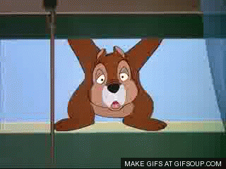 1565027001317.gif