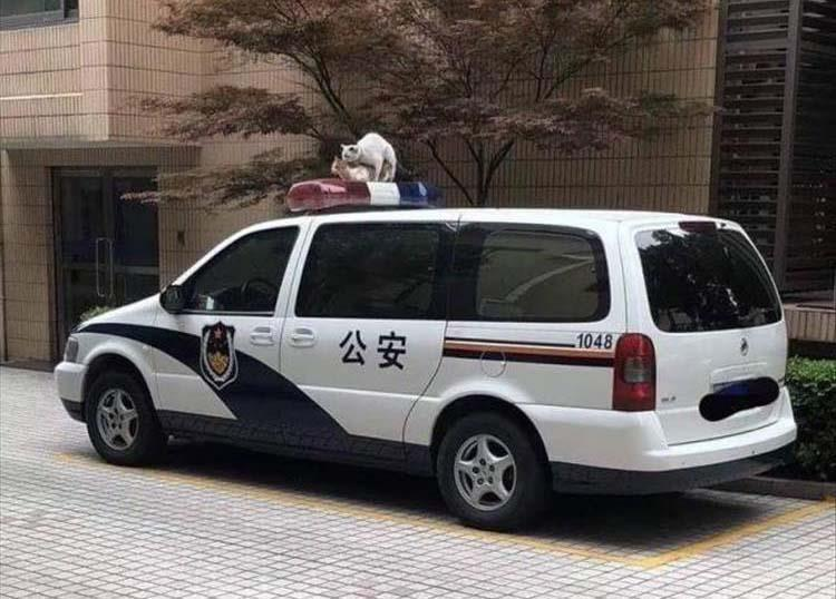 1565340631790.png