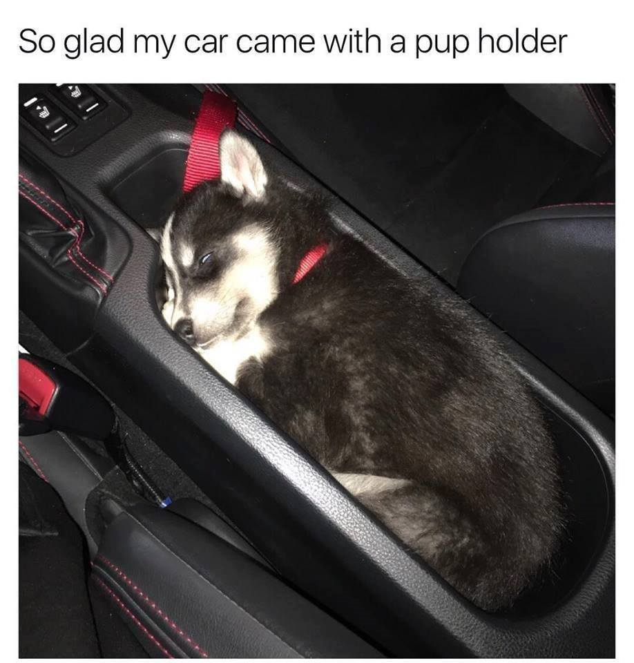 1565456728239.png