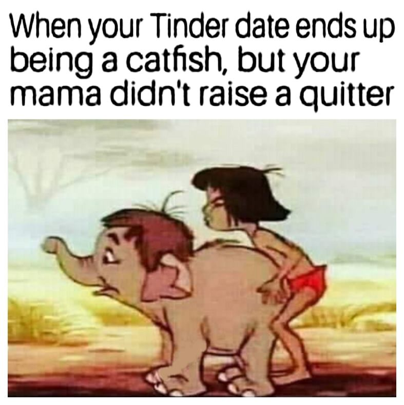 1565651789531.png
