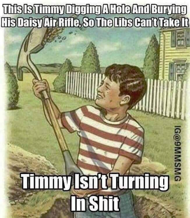 1565833541249.png