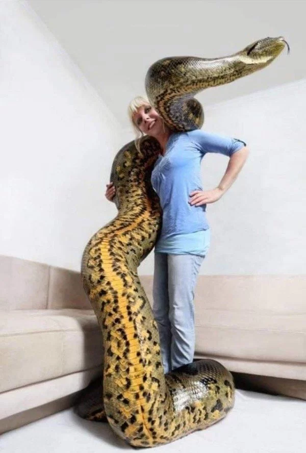 1565855703220.png