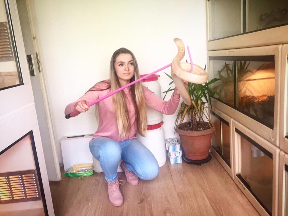 1565882830211.png