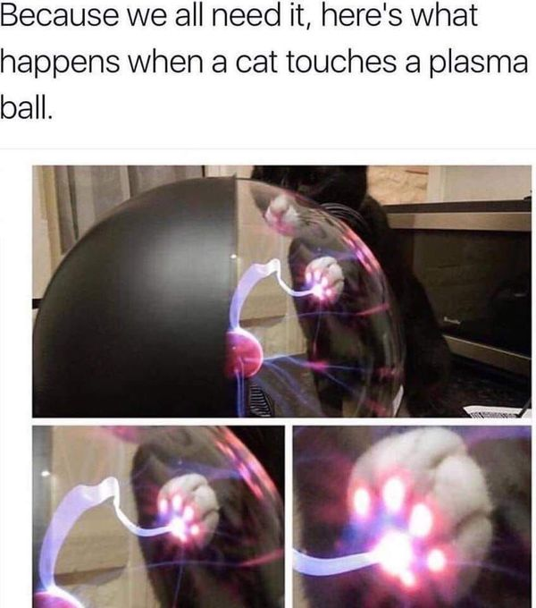 1565920051944.png