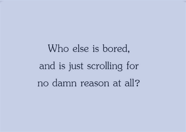 1566036242782.png