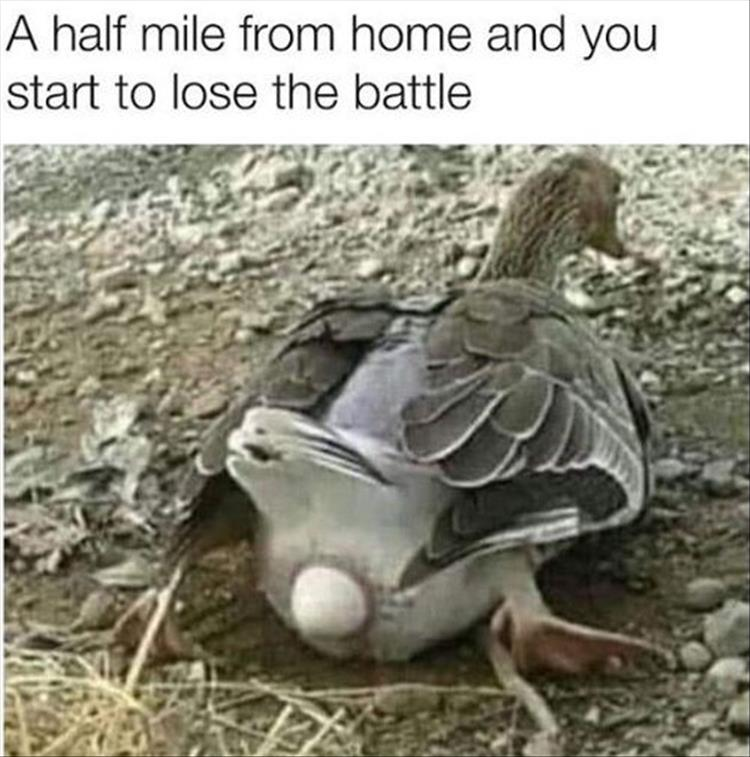 1566039094725.png