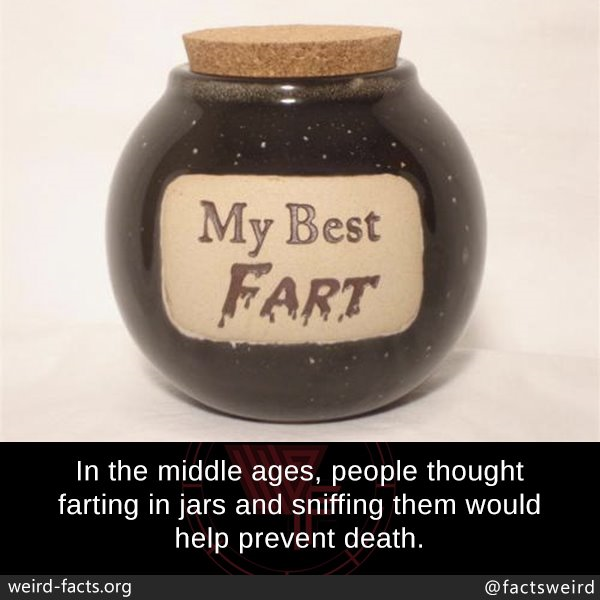 1566176038734.png