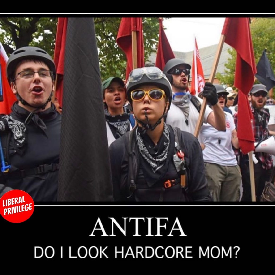 1566253020517.png