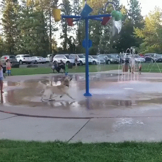1566493999182.gif
