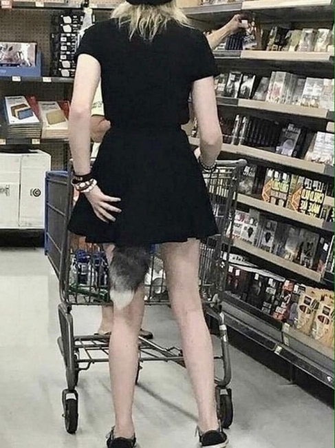 1566529299279.png