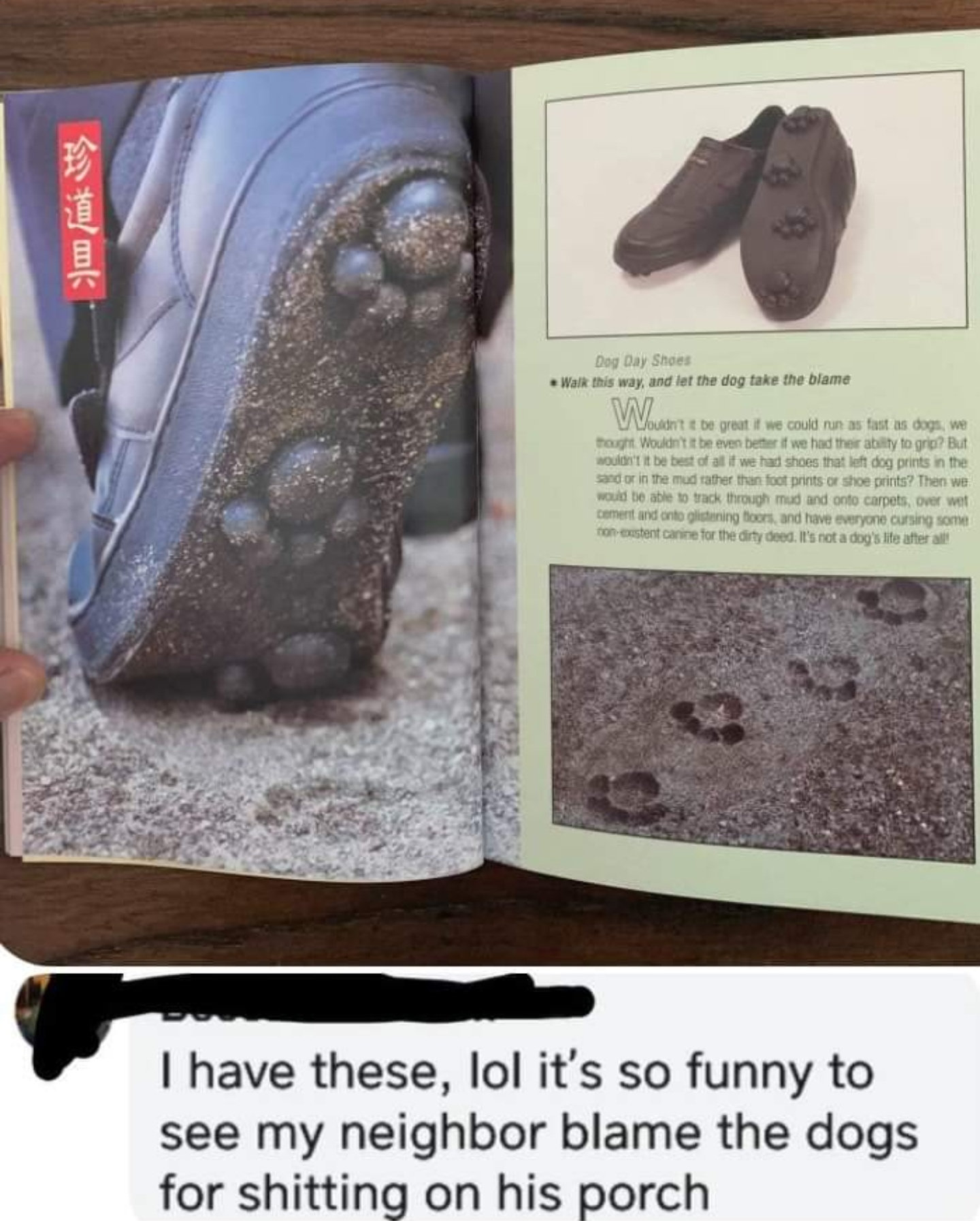 1567100229701.png