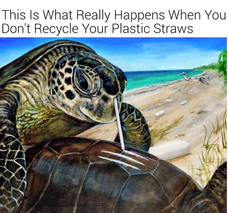 1568038770831.jpeg