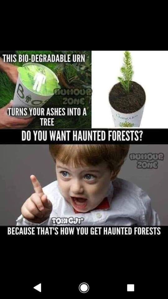 1568066989066.png