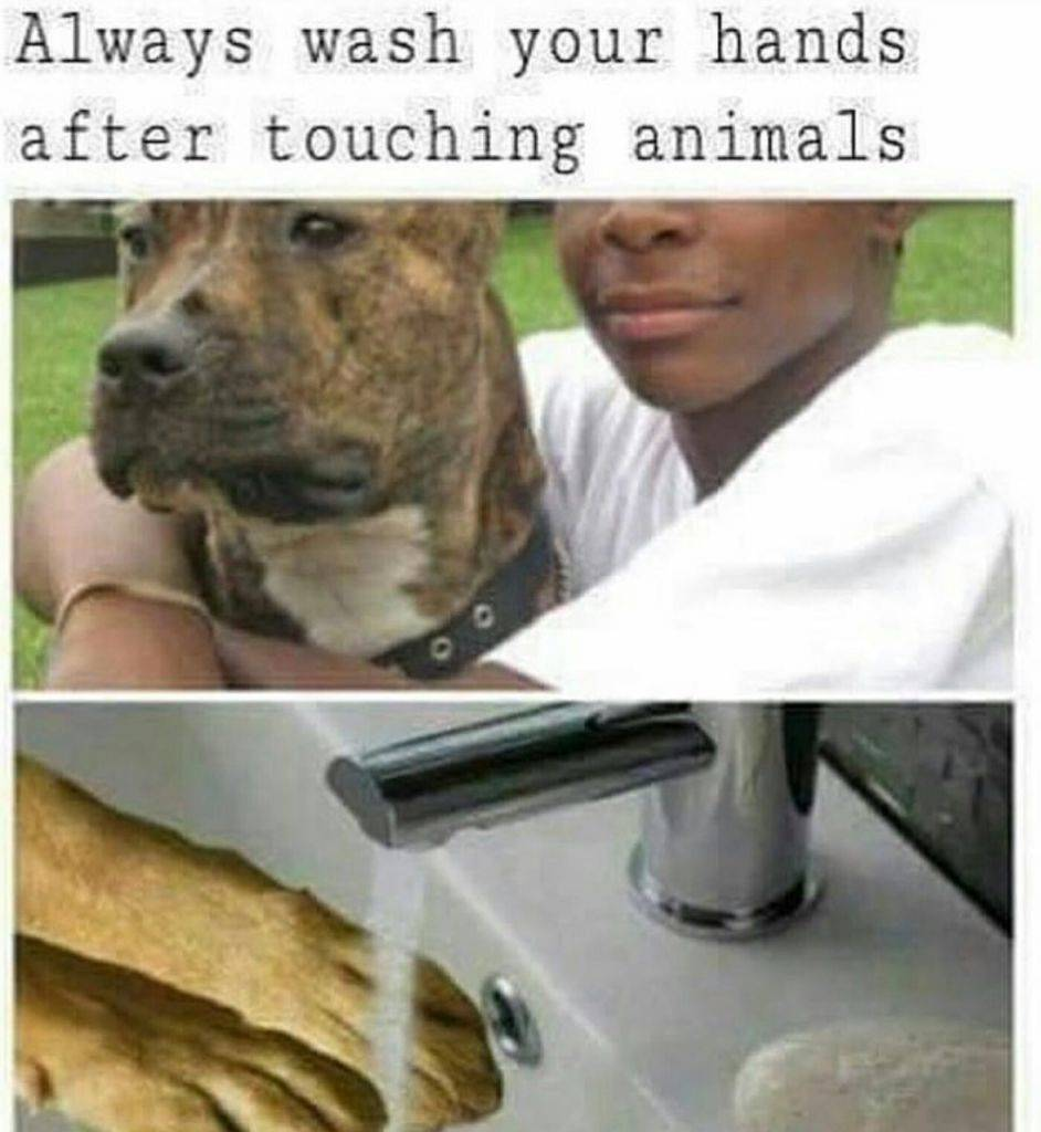 1568233066884.png