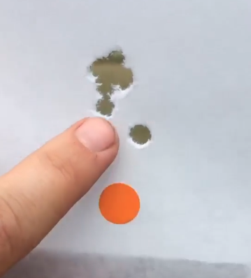 1568237951442.png
