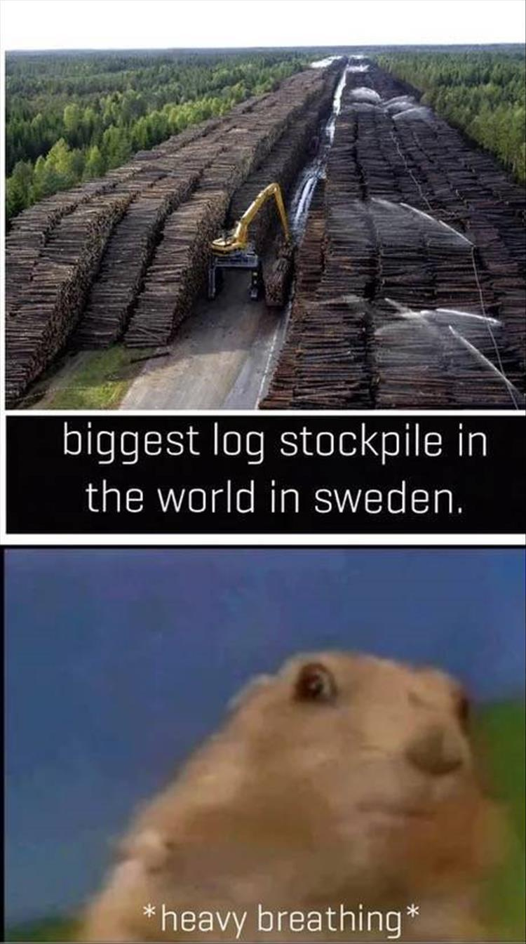 1568292217185.png