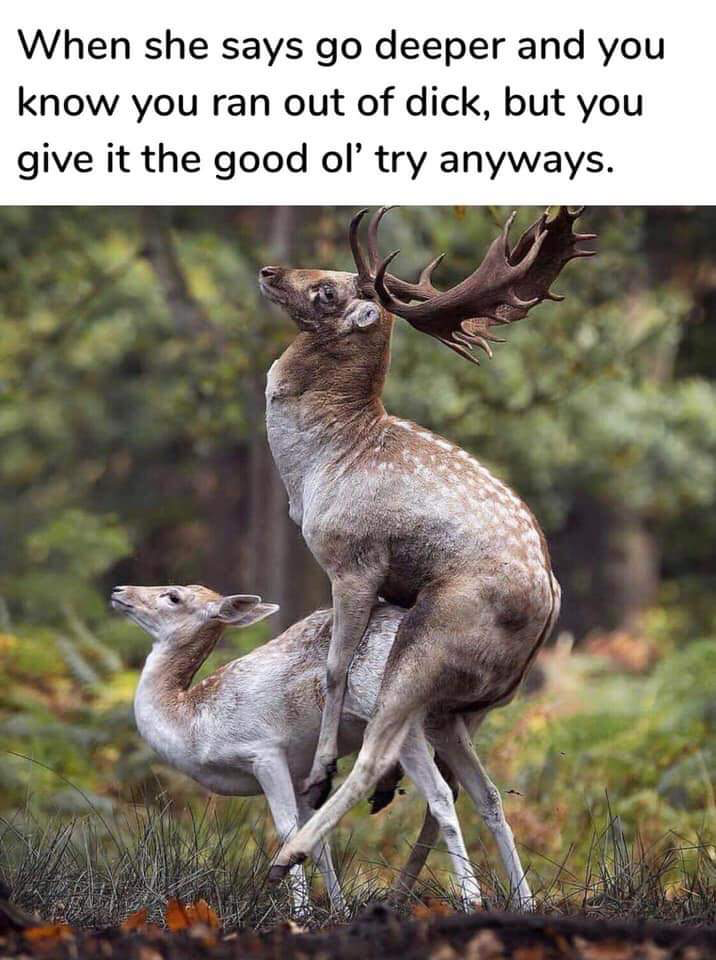 1568335505154.png