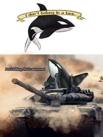 1568496145498.png