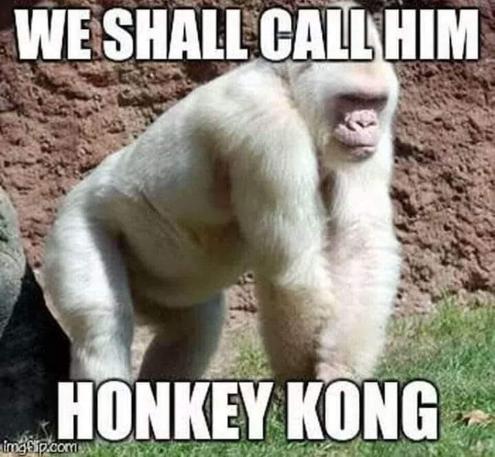 1568586068463.png