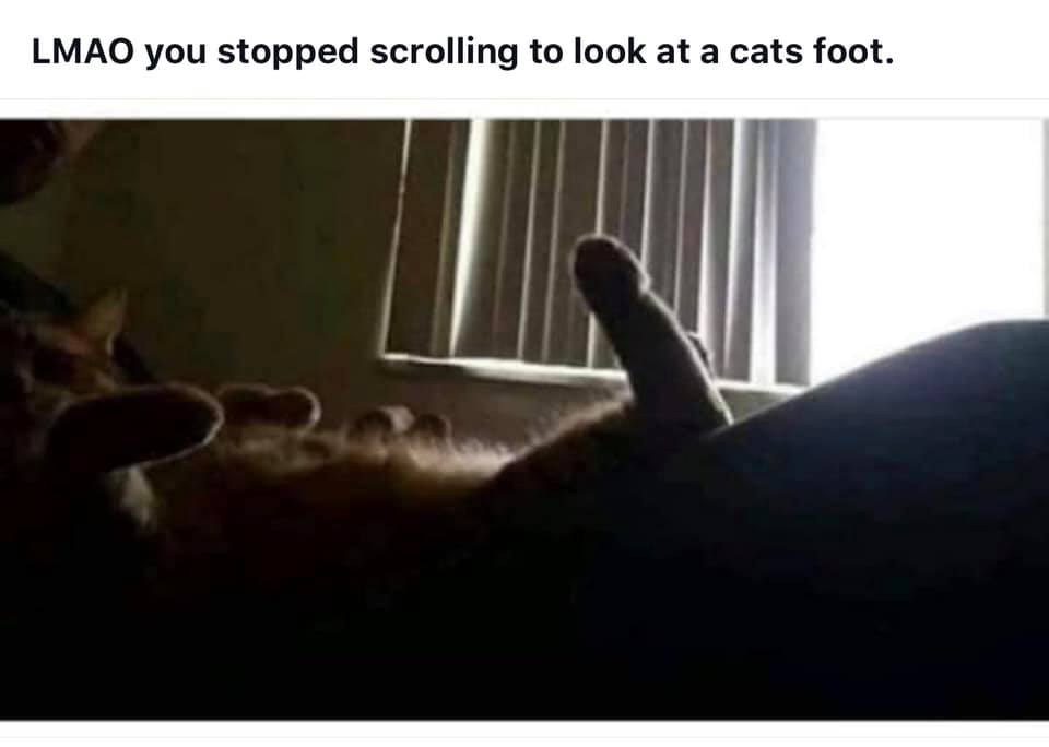 1568724026882.png