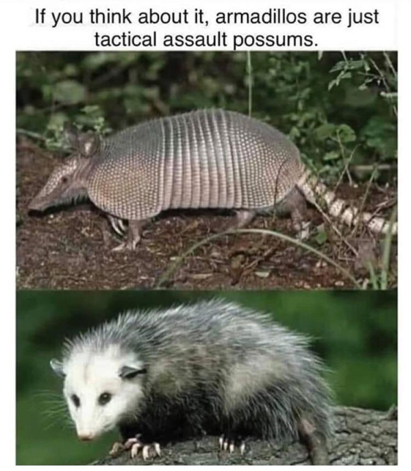 1568724431731.png