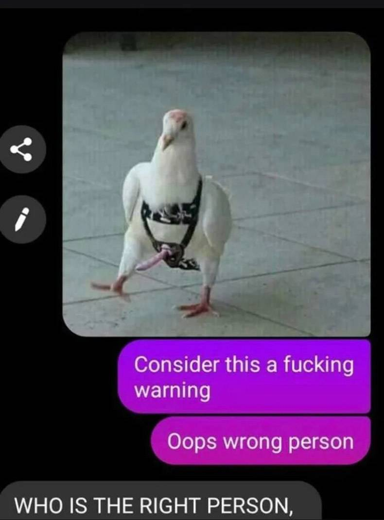 1568826207617.png