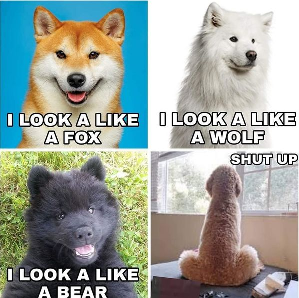 1568955317216.png